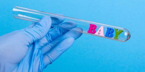 试管胚胎b级成功率高吗_试管胚胎等级与成功率bb级！~供精代怀价格