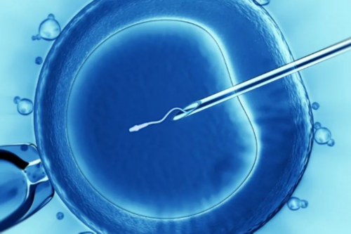 b超胎位横位是什么,香港验血鉴定男女黑中介出假报告