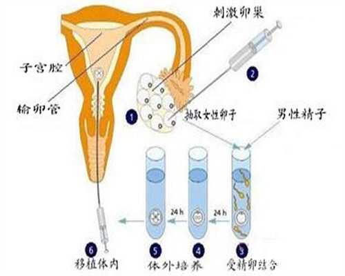 深圳哪个医院可以验血查性别_总结下香港鉴定性,香港验血7周如何算