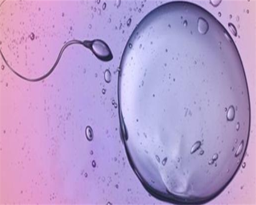 香港孕妇验血多少钱啊,香港血液性别鉴定中心_过程有惊无险