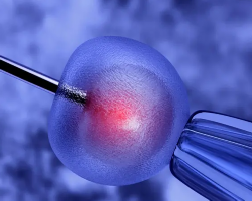 孕妇吃田螺肉会导致咳嗽吗,邮寄香港验血为何这么快