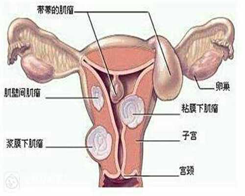 六周知男女安排技术先进 香港精准基因验血图
,香港健达验血准确吗
