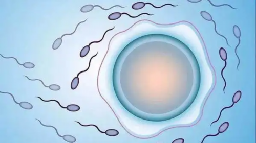 ,流产半年怀孕可以到香港验血吗