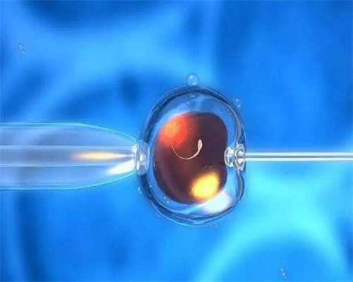 孕早期靠什么鉴别胎儿男女？,半年内流产香港验血查性别