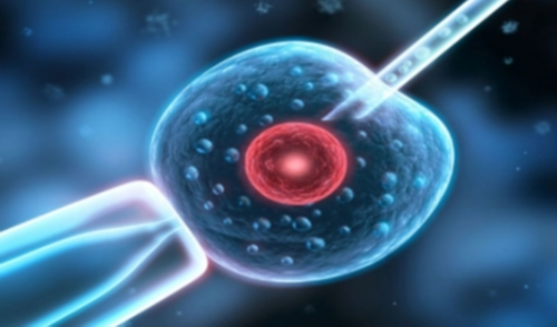 西安供卵试管助孕机构,西安私立医院做三代试管婴儿男孩靠谱吗？可以选择双