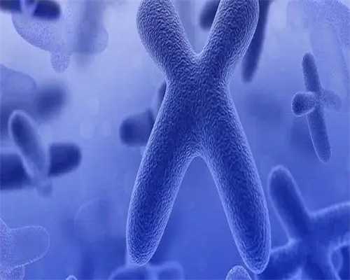 香港验血怎么预约医院,香港验血查男女多少钱,查性别需要什么条件