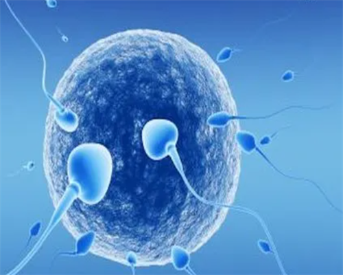 供卵试管-供卵机构【供卵助孕+试管供卵】,香港验血满7周但胎芽不足10mm