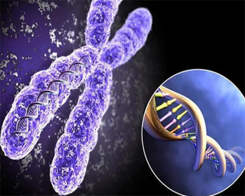 培养囊胚需要多长时间?是否有固定的时间要求?