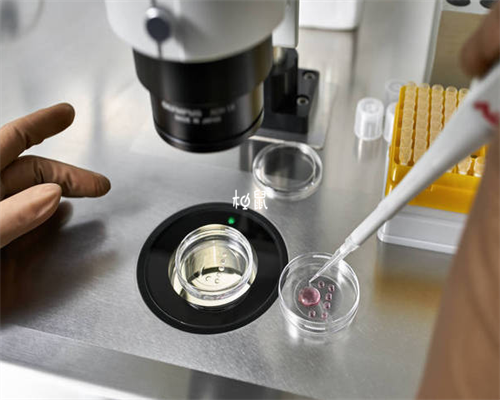 试管移植双胞胎的注意事项~供卵自怀三代