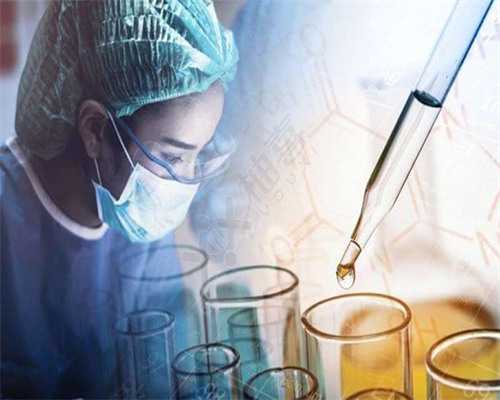 美国试管婴儿移植3天胚胎好还是5天囊胚好~试管助孕机构