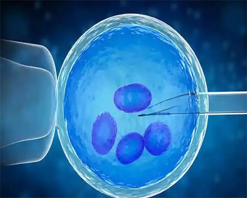 西安哪里医院代生男孩,西安妇幼试管婴儿_成都试管婴儿医院排名前十?附供卵