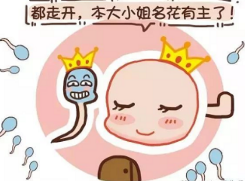 附件炎左氧氟沙星吃多久要停