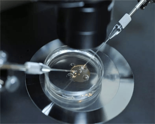 香港验血网上查结果查询,大连有没有香港验血的中介:提前知道宝宝男女