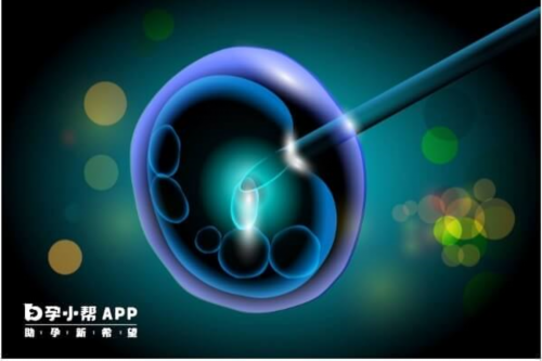 试管没着床算流产吗?