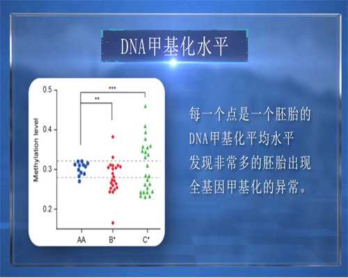 泰国试管成功率是多少?~代生女儿
