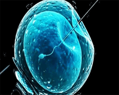 香港四大基因检测中心,查男女医院组织检测中心哪家好,邮寄香港验血都是寄到