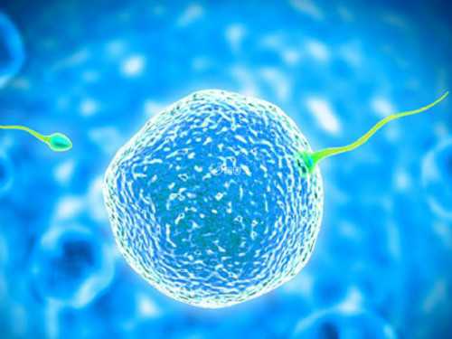 怀孕男女香港验血,香港哪里可以检测胎儿性别?讲述我到香港验血的全过程