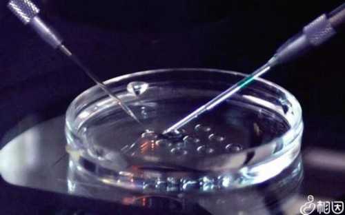 香港抽血化验男女准吗？（给想去的姐妹一个参,三十四天香港验血