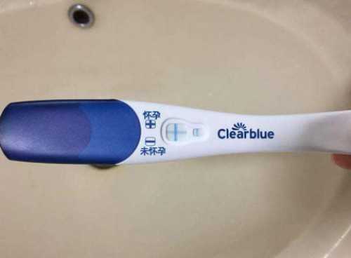 木耳这样吃会夺命 黑木耳的饮食禁忌~有偿代怀机构