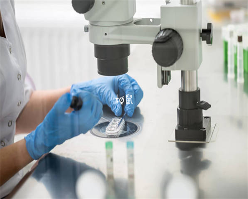 胎儿b超呼吸未见是什么意思,香港验血化验显示阳性是男孩吗