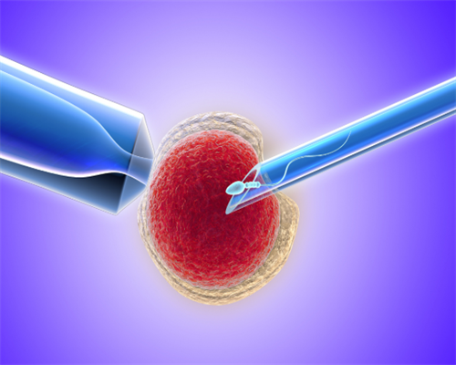 老公不育婆婆让我做试管-老公有问题公婆要求试管