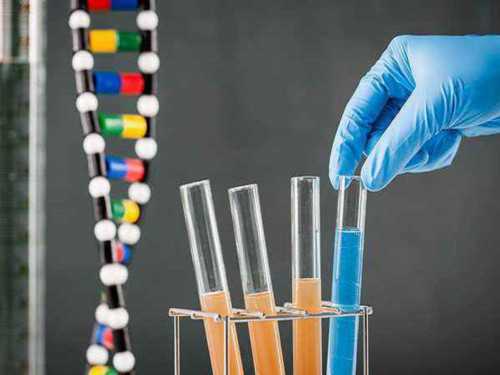 染色体异常赴泰国试管可以吗?