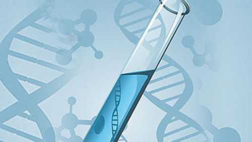 发明非侵入性产前基因检测技术的人：卢煜明教授,怀孕香港验血攻略