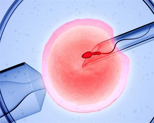 7周验血检查男女准吗_7*24小时答疑解惑-预约热线,怀双胎香港验血准吗