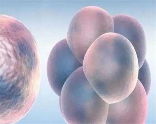 香港验血费用是多少钱?验血的最全攻略要做好,香港验血怀孕大概需要多少天