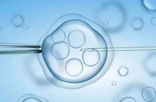 邮寄香港验血中途血样会变坏吗,血液常规检查能查出怀孕吗