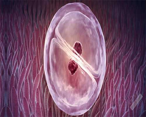 香港验血Y-DNA判定男女,孕妈须知事项,香港验血查男女几周最准确