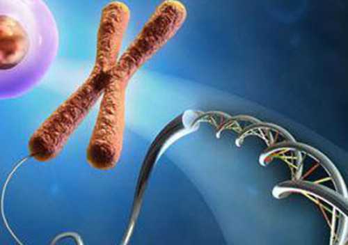 怀孕后是7周就能查出胎心胎芽还是8周呢？~试管代生助孕