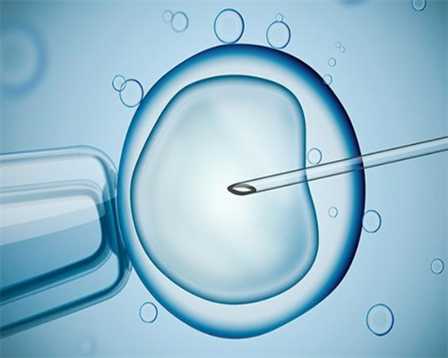 地中海贫血会不会影响试管移植？试管可不可以避免地中海贫血遗传？~代生性别优选