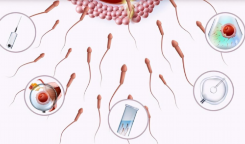 西安代怀生子机构,2026西安第三代试管费用约5-10万元,附试管供卵生男孩花费明