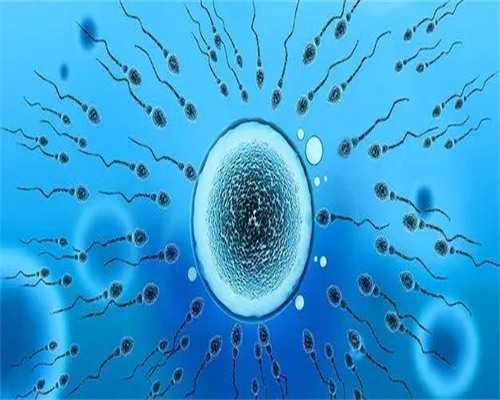 试管胚胎等级是怎么分的？~高龄试管代怀