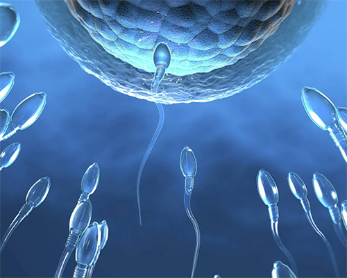 为什么冷冻囊胚移植后容易分裂发育成双胞胎？~代生包男宝