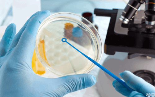 香港周就可以验男女吗,成功的验血经历宝妈可,香港验血去哪个诊所