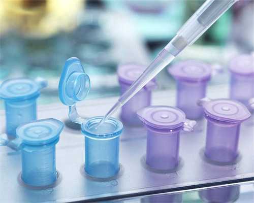 囊胚移植后第几天比较重要?囊胚移植后要不要卧床?~试管代生公司