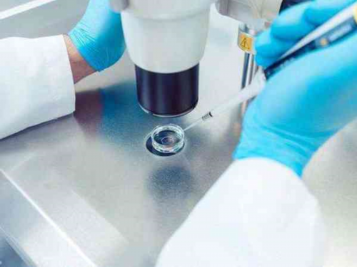 移植鲜胚前抽血检查雌二醇为18000低不低?~正规代怀机构