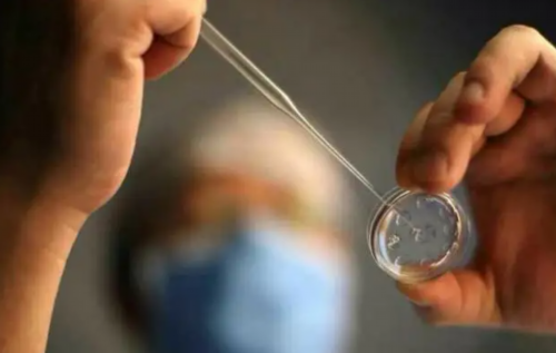 香港检测宝宝性别_宝宝早知道找我们没有错,孕9周香港验血男女准吗