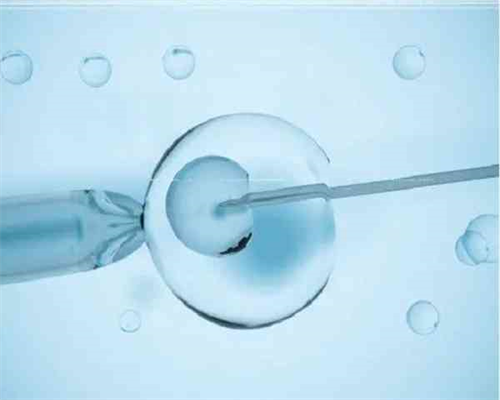 3cc和4cc囊胚是什么意思 3cc和4cc囊胚对比~供卵代怀公司