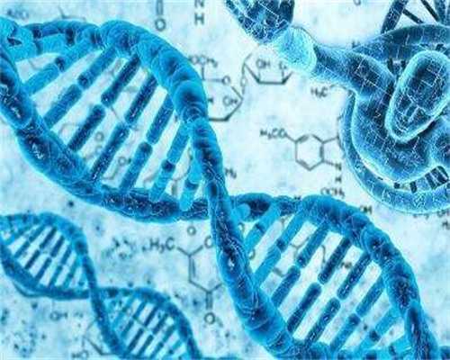 怀孕早期香港验血报告单,怀孕查血需要空腹吗