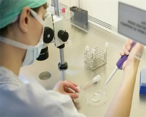 科学精准!香港验血判别胎儿性别准吗?宝妈告知你,香港验血一定要满七周吗