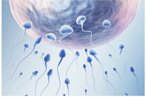 【香港时代医疗化验所】异位妊娠护理措施,香港验血有哪几家正规医院