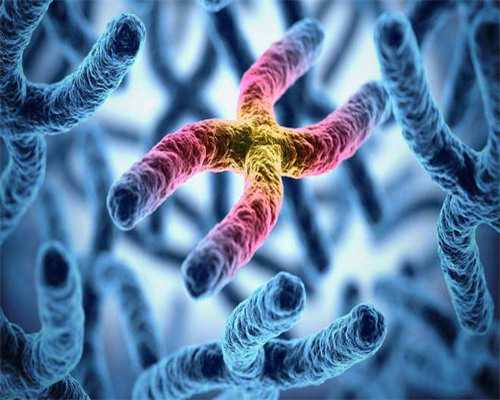 ,香港验血验男女价格