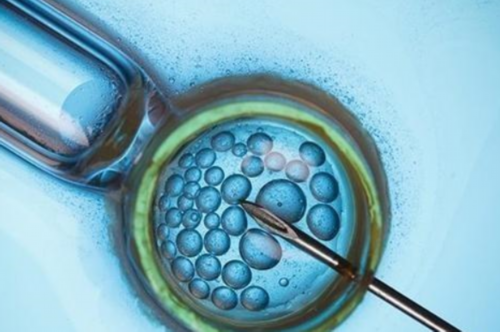 孕妇天天闻屁会怎么样,有香港验血女孩生男孩