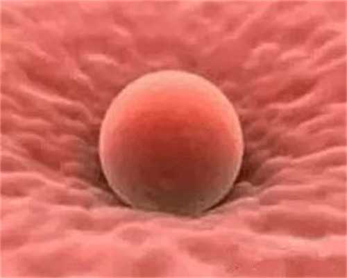 香港验血一般几天能出结果,供卵试管-卵妹中介_高颜值高学历高智商的组合