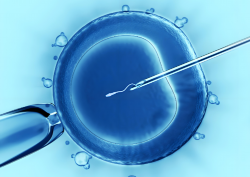 试管剩余的胚胎怎么处理~助孕代怀孩子