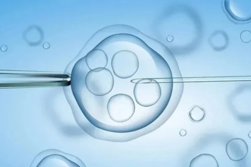 香港验血准吗?准确率到底可不可靠?,香港验血女儿 不准概率