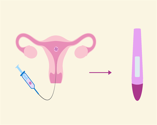 专业与希望：2026年中国十佳私立试管婴儿医院榜单